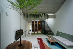 Kinh doanh - Tổ ấm xanh mát ở Đà Nẵng xóa tan định kiến về những căn nhà ống hầm và bí