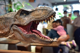 Tin tức trong ngày - Sinh vật thời tiền sử được tái hiện như thật ở TP.HCM