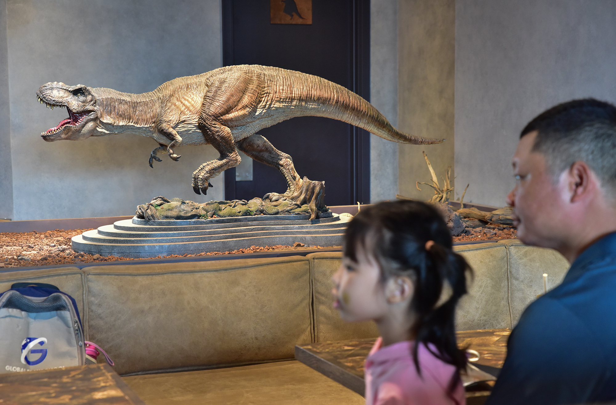 Trong không gian căn nhà 3 tầng được thiết kế theo mô hình “coffee and gallery” tại quận Gò Vấp, TP.HCM trưng bày hơn 200 mô hình khủng long với nhiều kích thước, hình dáng khác nhau.