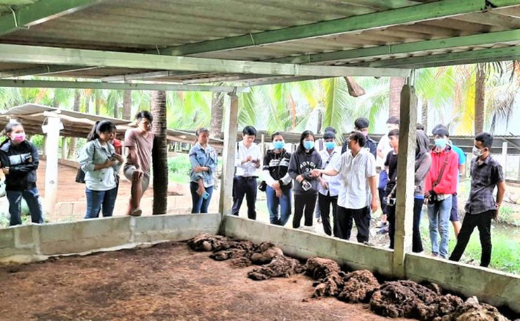 Anh Vinh (SN 1986, ở Châu Thành, tỉnh Tiền Giang) cho biết nuôi trùn quế cũng khá đơn giản
