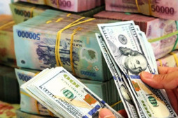 Từ vụ 1 triệu USD bị nhuộm đen ở sân bay Tân Sơn Nhất: Được mang tối đa bao nhiêu tiền ra nước ngoài?