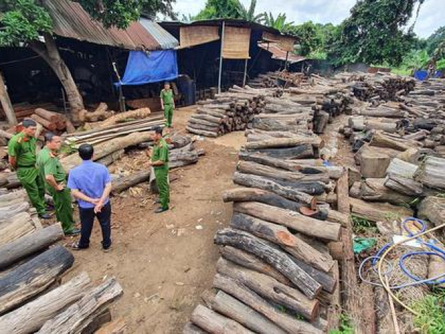 Tin tức trong ngày - Ngỡ ngàng với những phát hiện tại Công ty Phương Tây Nguyên