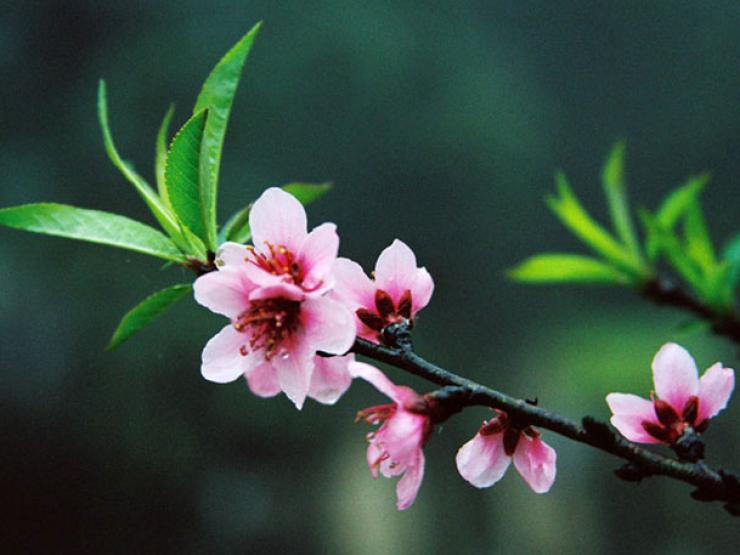 Tin tức trong ngày - Nóng trong tuần: Thêm đề xuất nghỉ Tết 9 ngày, bắt đầu từ 30 Tết