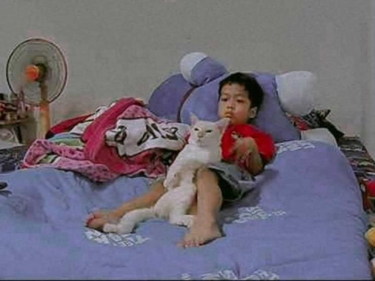 Bạn trẻ - Cuộc sống - Mua mèo vì mong con trai hết nghiện tivi, mẹ choáng váng khi thấy kết quả qua camera