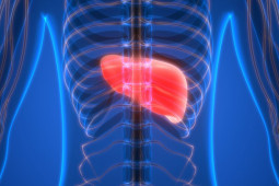 Sức khỏe đời sống - Làm sao để bảo vệ lá gan khi phải uống nhiều bia rượu? 