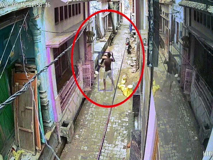 Phi thường - kỳ quặc - Video: Bị xua đuổi và ném đá, khỉ bất ngờ tung đòn ghê gớm vào người đàn ông