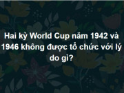 Giáo dục - du học - Có cả biển tri thức mới trả lời đúng trọn bộ câu hỏi này