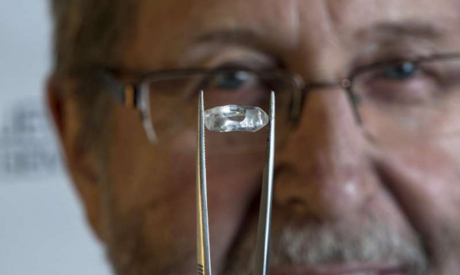 Một viên kim cương lớn được du khách tìm thấy tại công viên.