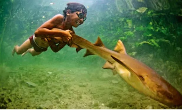 Một cậu bé người Bajau nô đùa với một con cá mập nhỏ. Ảnh: James Morgan