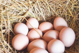 Sức khỏe đời sống - 5 bài thuốc từ trứng gà hỗ trợ trị tăng huyết áp