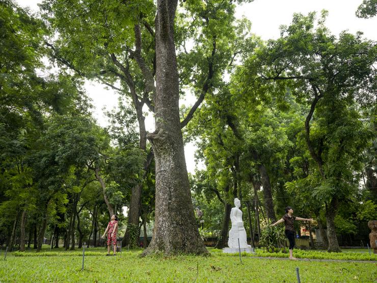 Tin tức trong ngày - Ngỡ ngàng với cảnh bình minh trong "rừng xanh" giữa lòng Hà Nội