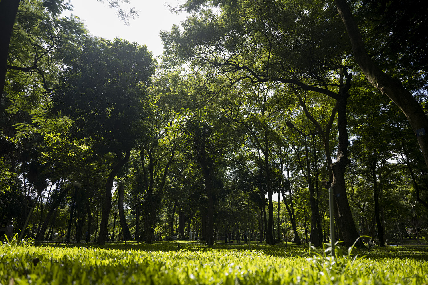 Một công viên có tuổi đời trên 100 năm tại Hà Nội, Vườn Bách thảo lâu nay được mệnh danh là một trong những "lá phổi xanh" của Thủ đô.