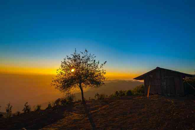 Cây táo mèo cô đơn ở Tà Xùa. Ảnh: Mytour.