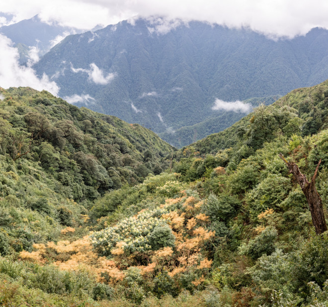 Lên đỉnh Tà Chì Nhù ngắm hoa Chi Pâu tím cả màu hoàng hôn - 1
