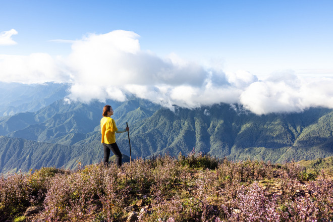 Lên đỉnh Tà Chì Nhù ngắm hoa Chi Pâu tím cả màu hoàng hôn - 8