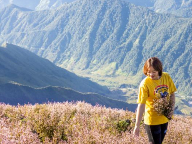 Du lịch - Lên đỉnh Tà Chì Nhù ngắm hoa Chi Pâu tím cả màu hoàng hôn