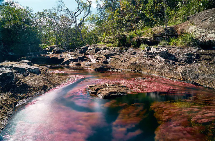 Caño Cristales, Colombia: Dòng sông Colombia này rực đỏ suốt những tháng nóng nực. Đáy sông được bao phủ bởi nhiều loại thực vật đặc biệt chuyển sang màu đỏ, khiến nó được mệnh danh là vùng nước đẹp nhất hành tinh.
