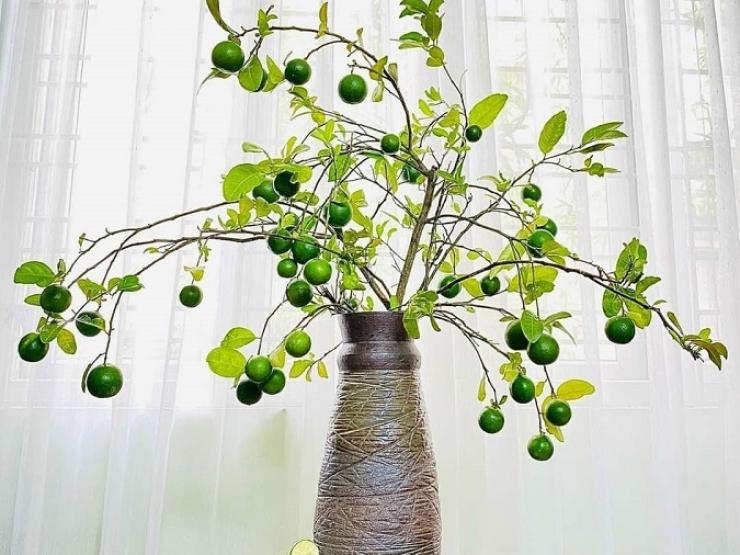 Thị trường - Tiêu dùng - “Cười ra nước mắt” với thú chơi mua cành quả về cắm của chị em Hà thành