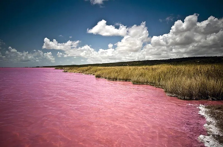 Lake Retba, Senegal: Do sự hiện diện của các sinh vật phù du như tảo Dunaliella salina là nguyên nhân khiến nước có màu hồng đặc biệt này. Đáng chú ý là hồ cũng có hàm lượng muối cao, có nơi lên tới 40%.
