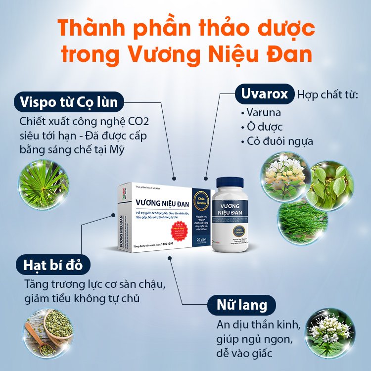 Tiểu đêm, tiểu són “đeo bám” suốt 30 năm - Không ngờ nhờ thứ này mà đã khỏe - 5