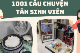 Giáo dục - du học - "Nhận diện" tân sinh viên: Mang cả nhà lên trọ, tủ lạnh "gục ngã" trước sức nặng của đồ ăn