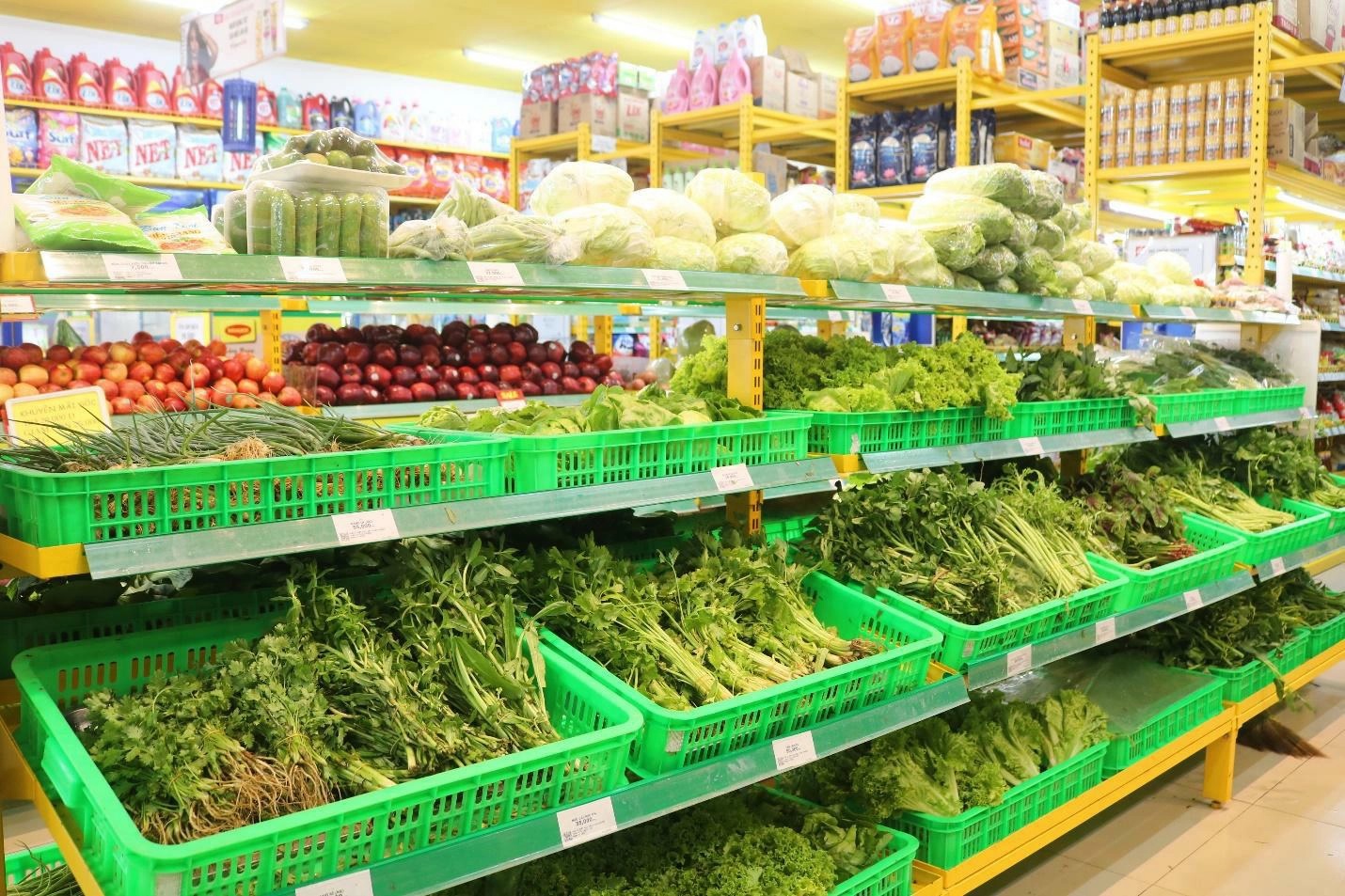 Nhiều gia đình cho biết mỗi tháng chi cả tiền triệu chỉ riêng mặt hàng rau xanh mua trong siêu thị và cửa hàng thực phẩm sạch