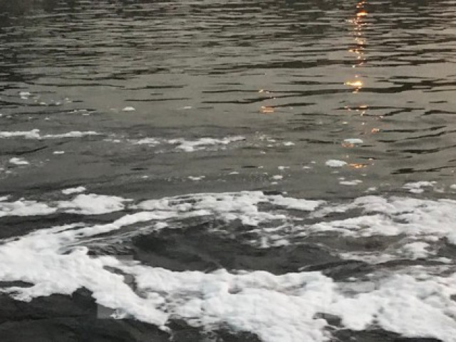 Tin tức trong ngày - Hà Nội: Bất ngờ kênh dẫn nước Yên Sở bọt trắng như băng đổ ra sông Hồng