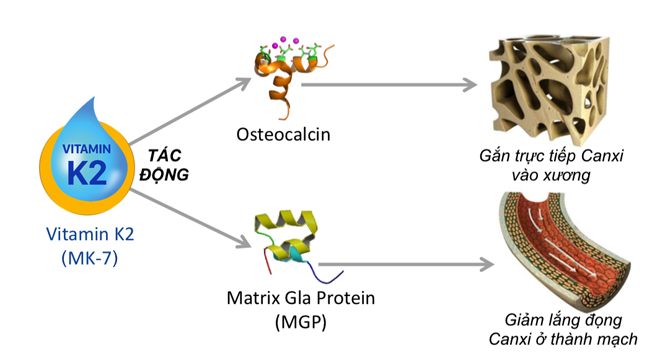 Bí mật “tam giác tăng trưởng chiều cao”, bố mẹ cần nắm rõ nếu muốn con cao chuẩn! - 3