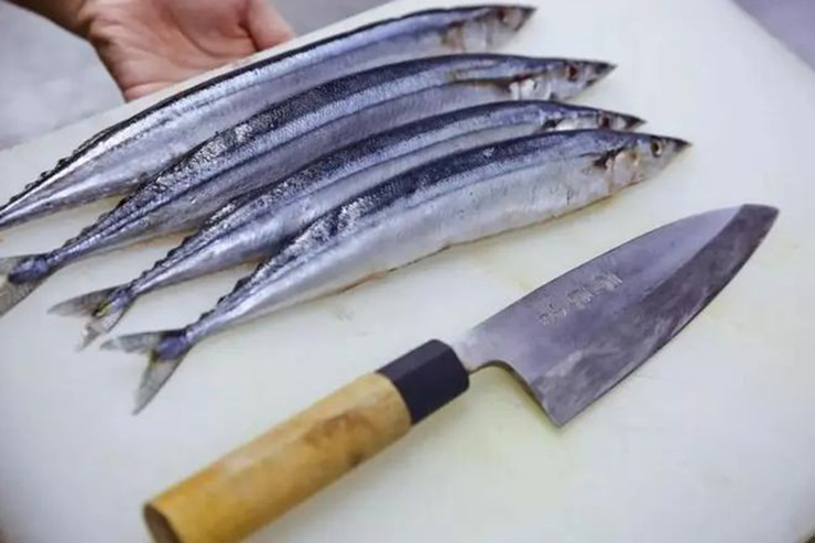 Loại cá người Nhật xem như “vàng cho não” nhưng nhiều người không thích - 1