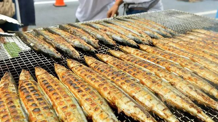 Loại cá người Nhật xem như “vàng cho não” nhưng nhiều người không thích - 7