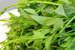 Ẩm thực - Rau lang: Giá rẻ bèo, cực tốt cho sức khỏe nhưng "nguy hiểm" với một số người sau