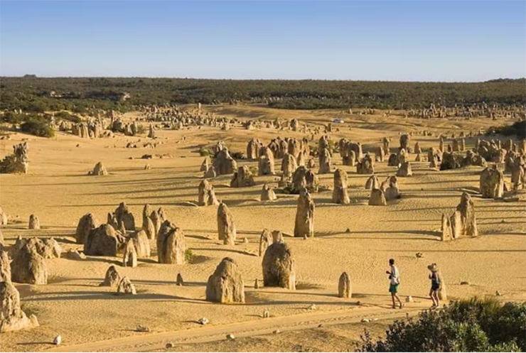 The Pinnacles : Cách Perth một giờ về phía bắc là sa mạc Nambung của Tây Úc. Khi đi ngang qua bãi cát vàng, bạn sẽ sớm phát hiện ra một vùng đất rộng hàng km gồm các khối đá vôi lớn, kỳ lạ giống như những gì thường được mô tả là “Cuộc sống trên sao Hỏa”.
