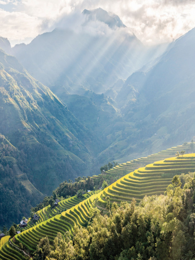 Ngang qua một mùa vàng - 4