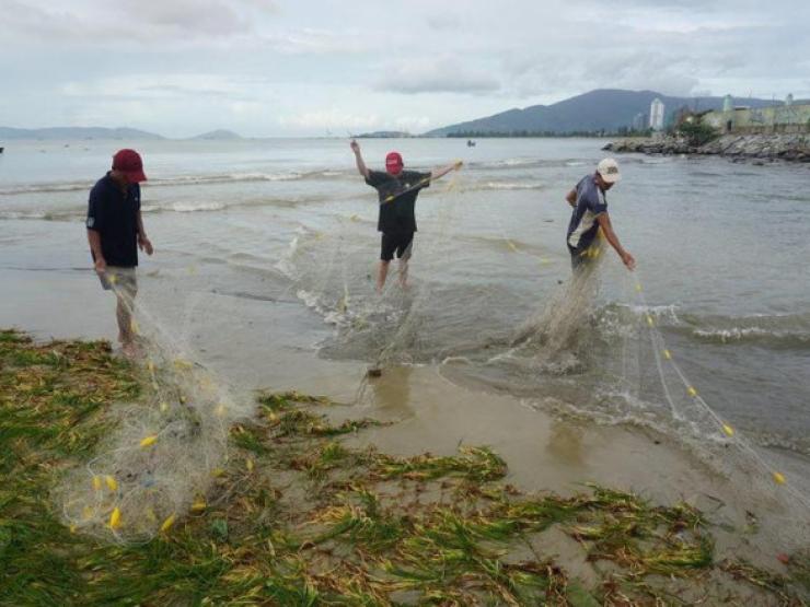 Tin tức trong ngày - Tin tức 24h qua: Lạ lùng dân đổ xô ra biển bắt cá nước ngọt