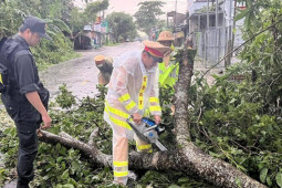Tin tức trong ngày - Những “công nhân môi trường” đặc biệt sau bão Noru
