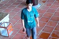 Pháp luật - Nam thanh niên ngang nhiên đập phá hòm công đức, trộm tiền giữa ban ngày