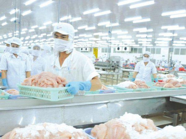 Thị trường - Tiêu dùng - Xuất khẩu cá tra dần hồi phục, thị trường Trung Quốc sẽ là điểm sáng
