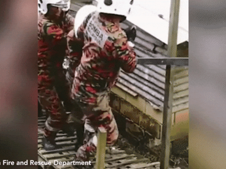 Video: Tóm gọn trăn khổng lồ dài 6 mét nuốt chửng dê ở Malaysia