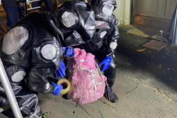 Tin tức trong ngày - Cảnh sát "tóm gọn" tổ ong khủng đường kính gần 1m ở TP.HCM