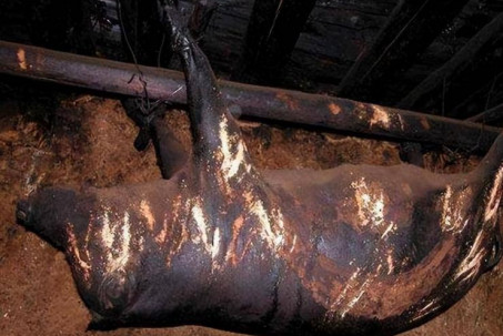 Kỳ lạ món thịt lợn bốc mùi Tứ Xuyên treo trên xà 53 năm, chỉ dùng để chiêu đãi khách VIP