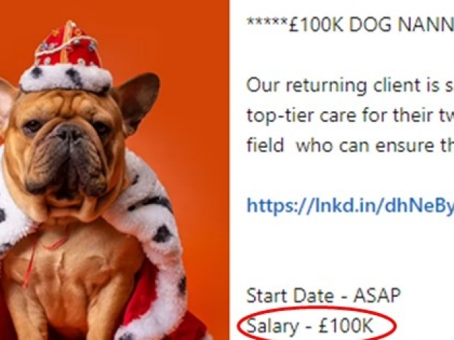 Bạn trẻ - Cuộc sống - Gia đình tỷ phú tìm người chăm sóc cún cưng với mức lương 3 tỷ đồng/năm