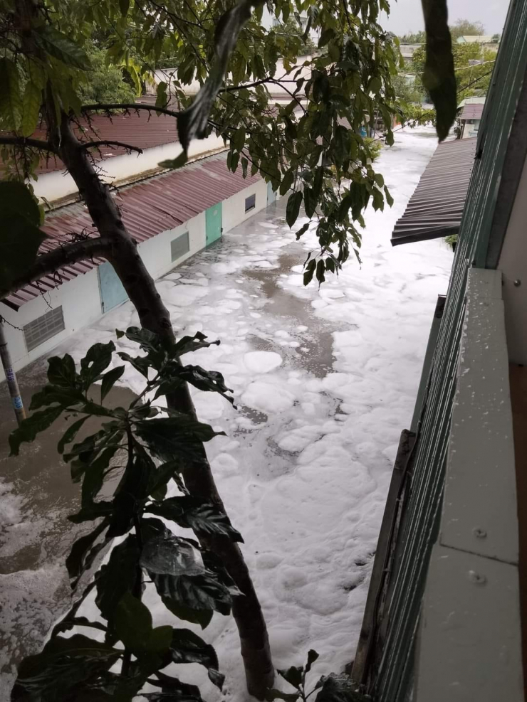 Bọt biển khổng lồ tràn vào khu dân cư