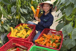 Chốt cả trăm đơn hàng, bán hàng tấn nông sản trong 30 phút nhờ livestream