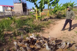 Thị trường - Tiêu dùng - Loài ở Việt Nam rẻ, ở Angola Quang Linh Vlog tiết lộ giá đắt khó tin