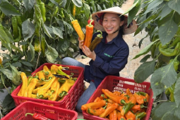 Thị trường - Tiêu dùng - Nóng tuần qua: Bán nông sản qua livestream, cô gái ở Đà Lạt thu về 1 tỷ đồng mỗi tháng