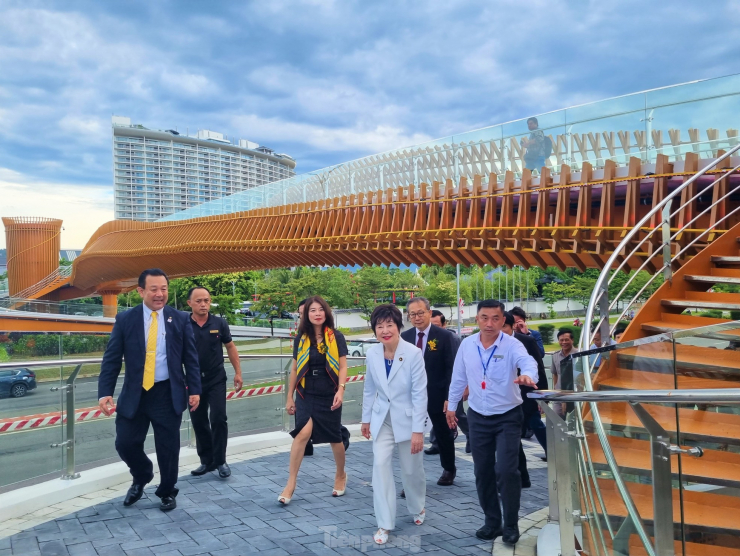 Cây cầu do tập đoàn Mikazuki (Nhật Bản) xây dựng với tổng mức đầu tư hơn 42 tỷ đồng và trao tặng cho thành phố Đà Nẵng, công trình được khởi công vào tháng 1 năm nay.