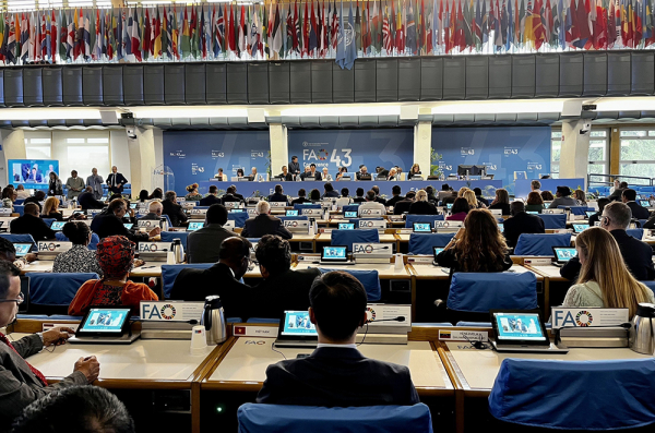 Quang cảnh phiên khai mạc Hội nghị FAO 2023. Ảnh: TTXVN