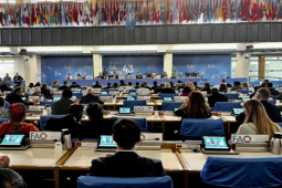 Tin tức trong ngày - Việt Nam tham dự Phiên họp lần thứ 43 Hội nghị cấp Bộ trưởng của FAO