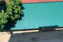 Người phụ nữ rơi từ tầng 8 tòa nhà bệnh viện xuống tử vong