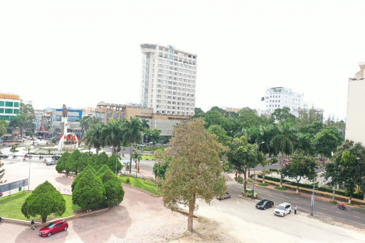 Cây hoa sữa lớn ở khuôn viên Trung tâm văn hóa tỉnh Đắk Lắk bị rụng lá, có dấu hiệu chết bất thường.